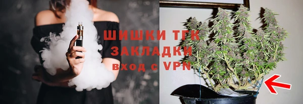 ГАЛЛЮЦИНОГЕННЫЕ ГРИБЫ Балахна