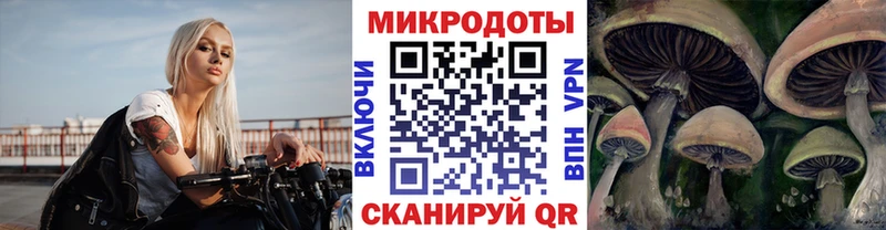 mega tor  Щёкино  Галлюциногенные грибы мухоморы  где купить наркотик 